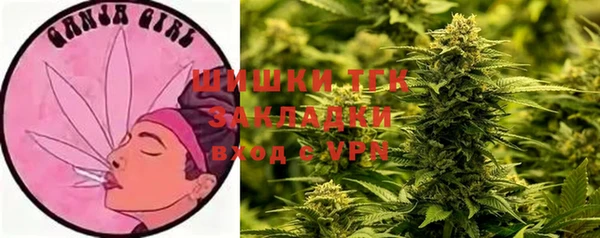 сатива Ладушкин