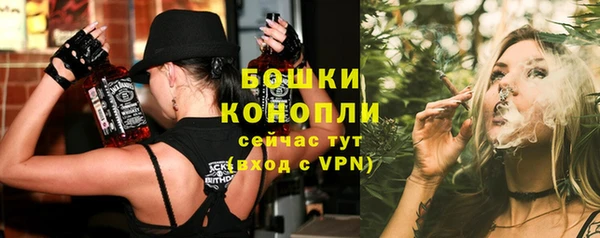 сатива Ладушкин