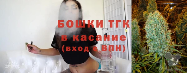 молекула духа Лагань