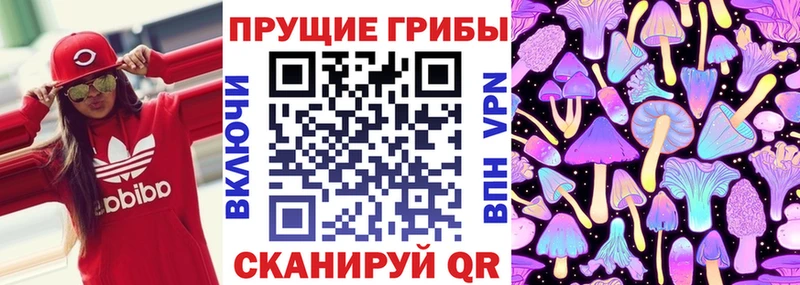 купить наркотик Кочубеевское Псилоцибиновые грибы мицелий